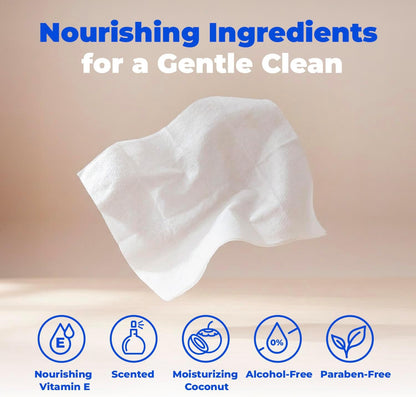 8" X 9" Large Dog Wipes - Cleaning and Deodorizing for Paws and Coat - Gentle Formula with Coconut Vitamin E for Puppies and Cats - 100 Count