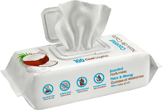 8" X 9" Large Dog Wipes - Cleaning and Deodorizing for Paws and Coat - Gentle Formula with Coconut Vitamin E for Puppies and Cats - 100 Count